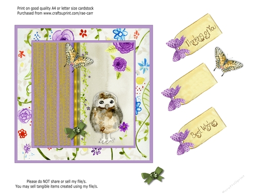 PS171 Owl and Butterfly Topper or Card Front