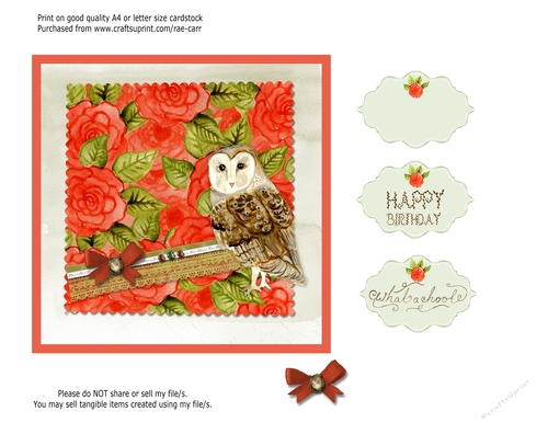 PS172 Owl and Roses Topper or Card Front