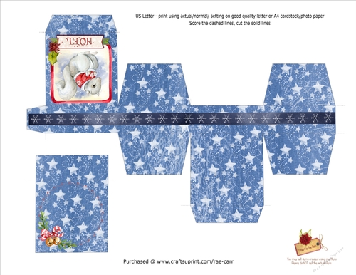 PS180 Snowy Stars Jewelry Box