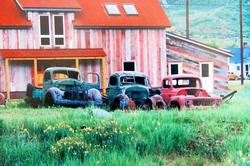 BG Colorized Trucks
