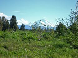 BG Mountain Top