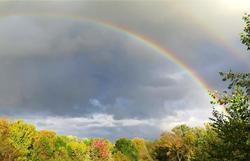 BG Dark Rainbow