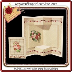 233 Interesting Folded Insert & Topper