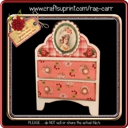 268 Bright Color Dresser Card 