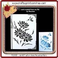383 Daises Card