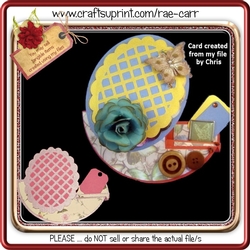 425 Rocker Step Card 