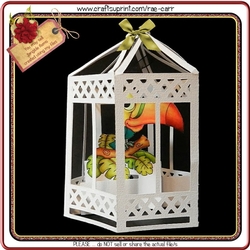 518 Bird Cage Card