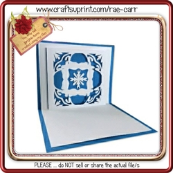 133 Picture Opening Pop Up Insert