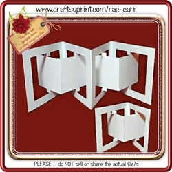 646 Accordion/accordian Card