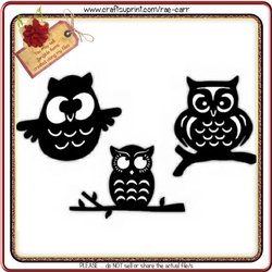 430 3 Little Owls
