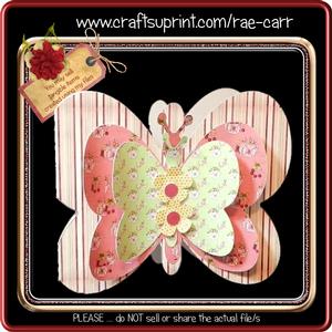 209 Butterfly Shaped Card