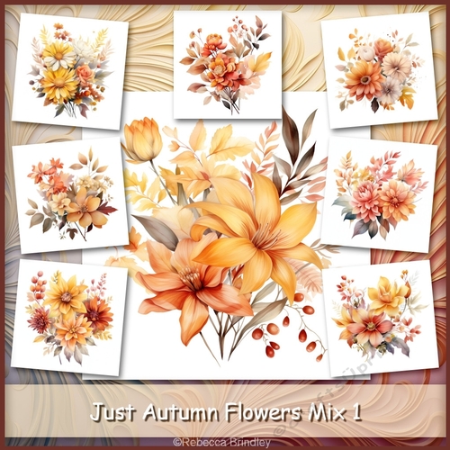 Just Autumn Flowers Mix 1