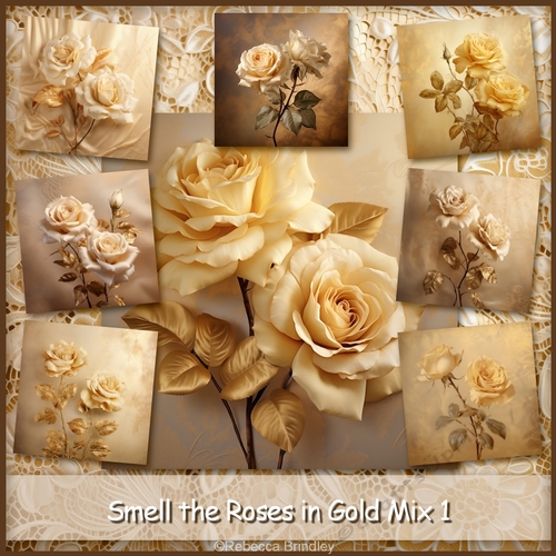 Smell the Roses in Gold Mix 1