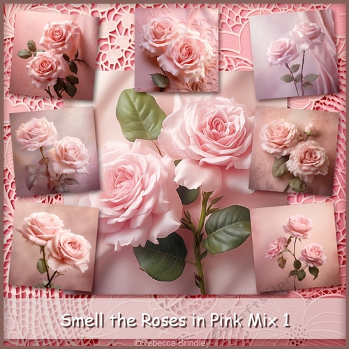 Smell the Roses in Pink Mix 1
