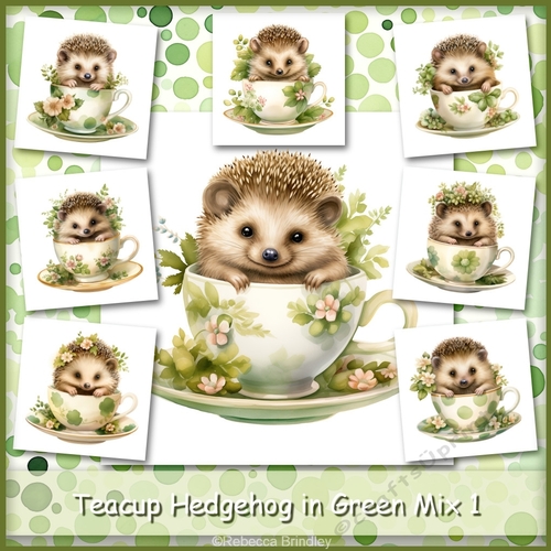 Teacup Hedgehog in Green Mix 1