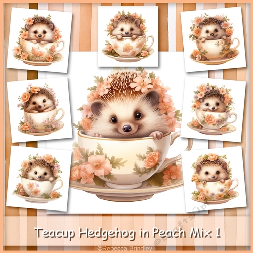 Teacup Hedgehog in Peach Mix 1