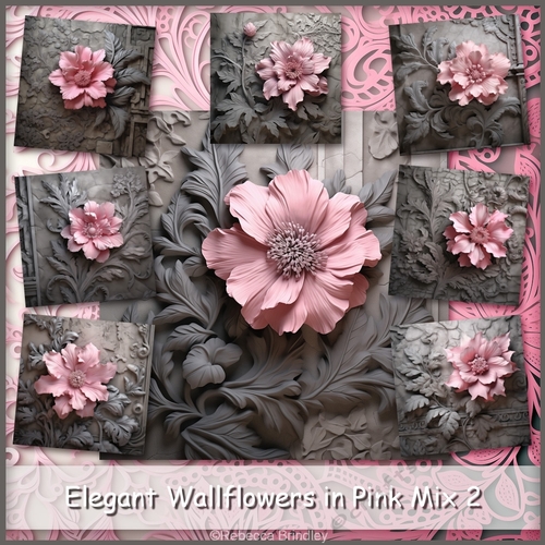 Elegant Wallflowers in Pink Mix 2