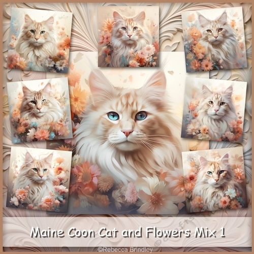 Maine Coon Cat and Flowers Mix 1