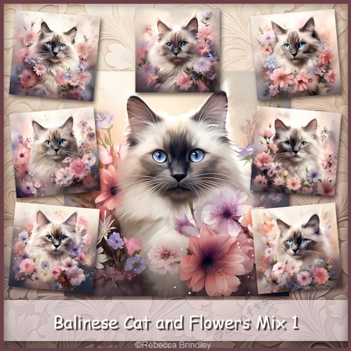 Balinese Cat and Flowers Mix 1 