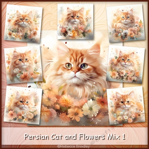 Persian Cat and Flowers Mix 1 
