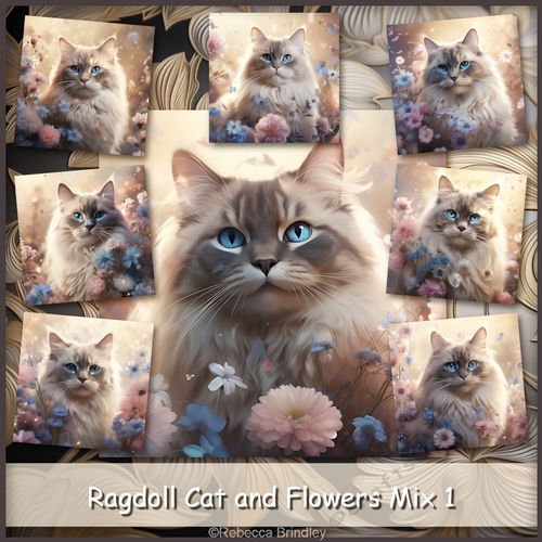 Ragdoll Cat and Flowers Mix 1