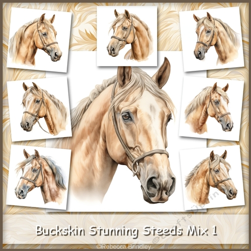 Buckskin Stunning Steeds Mix 1
