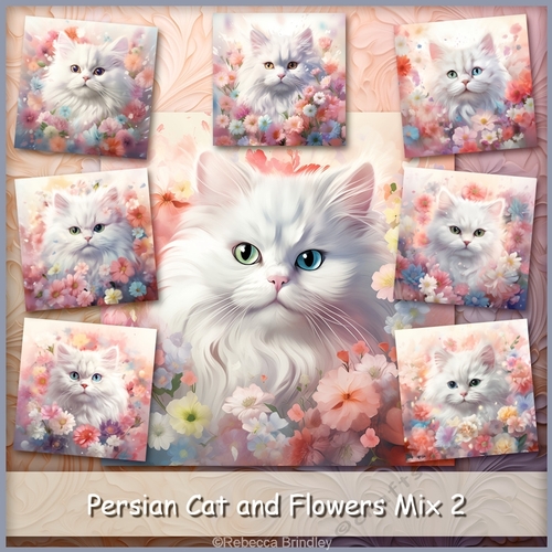 Persian Cat and Flowers Mix 2 