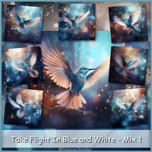 Take Flight In Blue and White - Mix 1