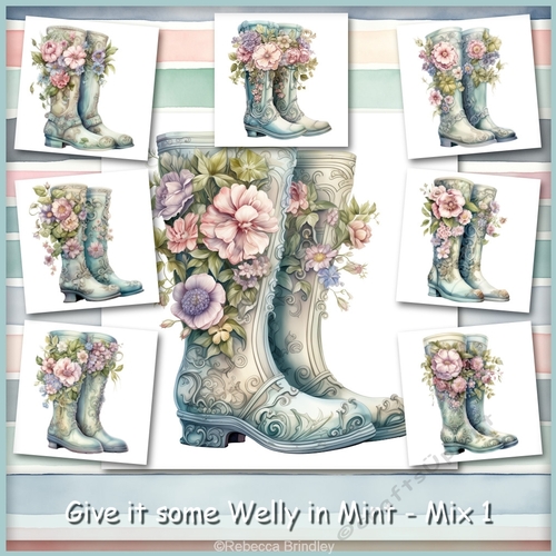 Give it some Welly in Mint - Mix 1