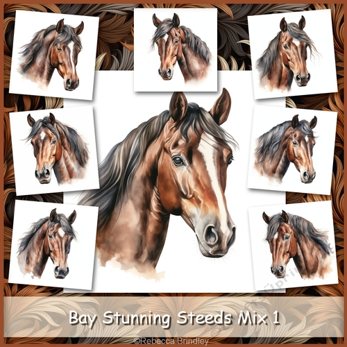 Bay Stunning Steeds Mix 1