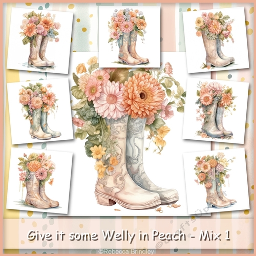 Give it some Welly in Peach - Mix 1