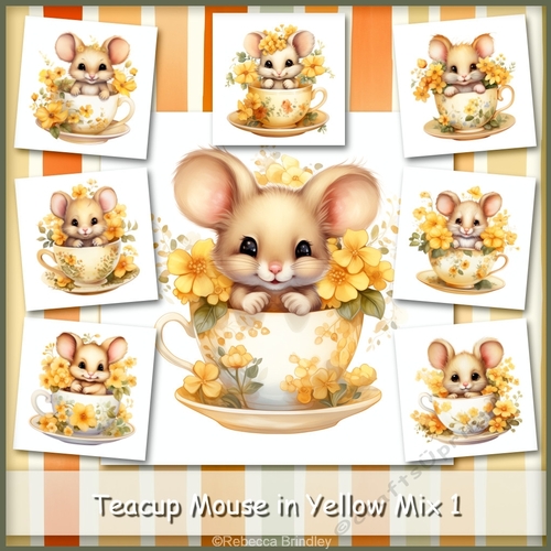 Teacup Mouse in Yellow Mix 1