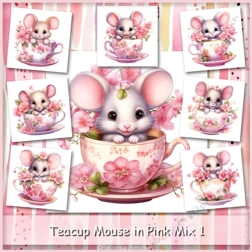 Teacup Mouse in Pink Mix 1