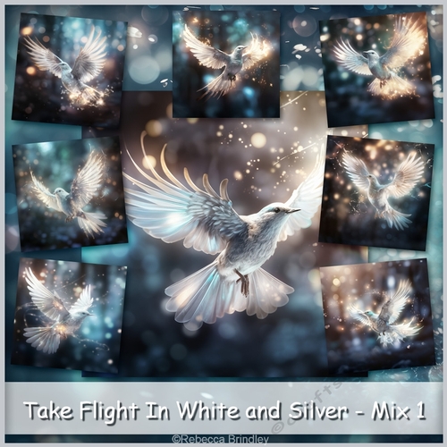 Take Flight In White and Silver - Mix 1