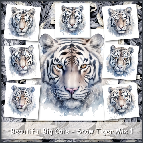 Beautiful Big Cats - Snow Tiger Mix 1