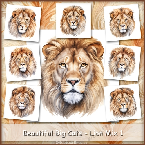 Beautiful Big Cats - Lion Mix 1