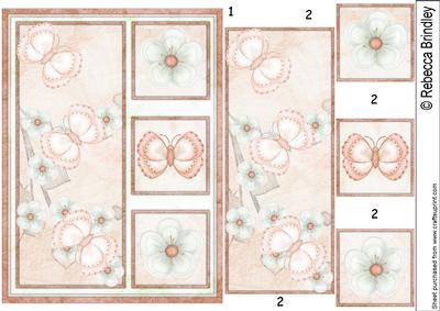 Peach Flutterby Blossoms A5 Card Front