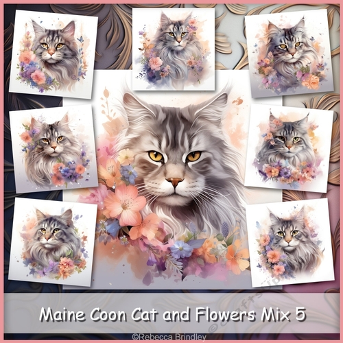 Maine Coon Cat and Flowers Mix 5