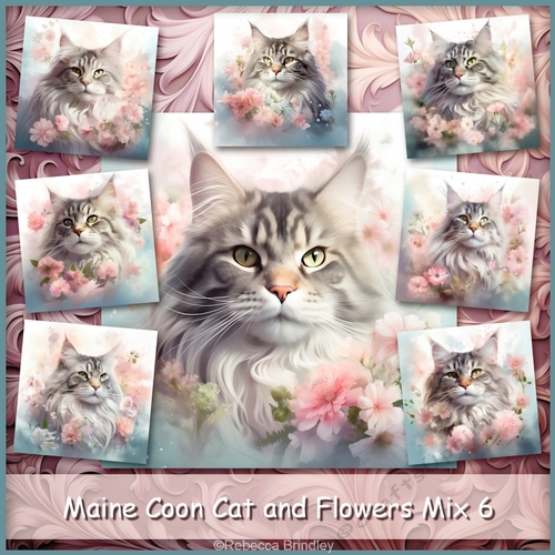Maine Coon Cat and Flowers Mix 6