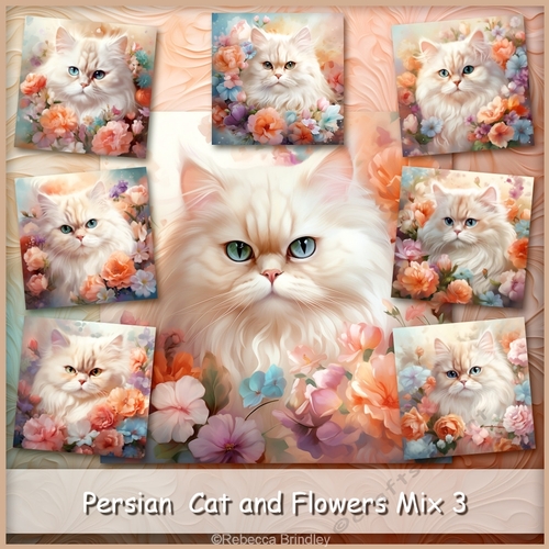 Persian Cat and Flowers Mix 3 