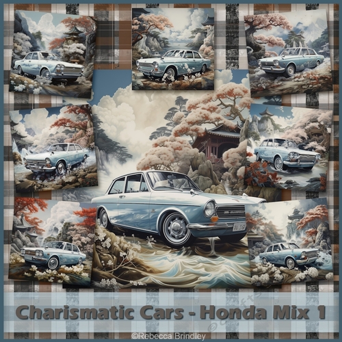 Charismatic Cars - Honda Mix 1