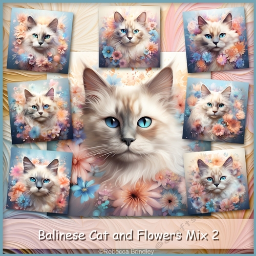 Balinese Cat and Flowers Mix 2