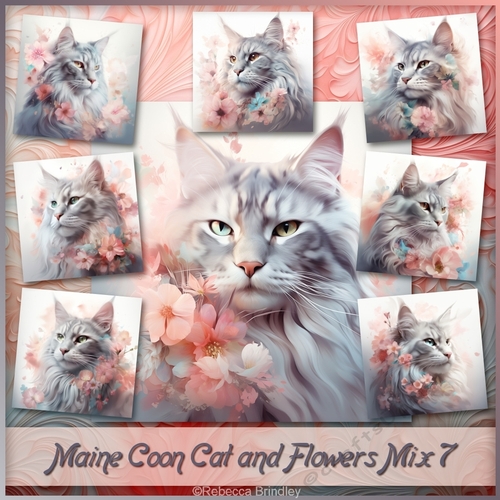 Maine Coon Cat and Flowers Mix 7