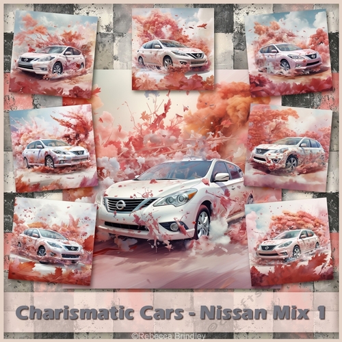 Charismatic Cars - Nissan Mix 1