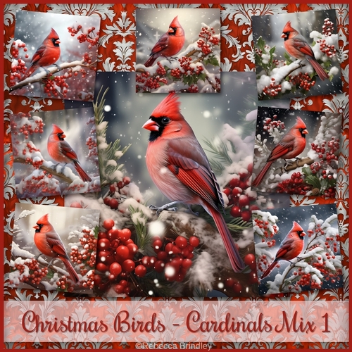 Christmas Birds - Cardinals Mix 1