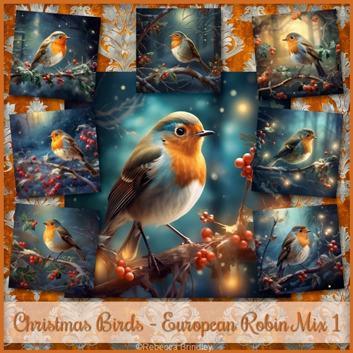 Christmas Birds - European Robin Mix 1
