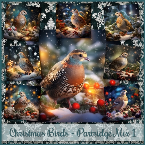 Christmas Birds - European Partridge Mix 1