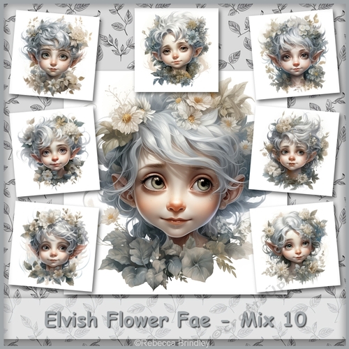 Elvish Flower Fae - Mix 10