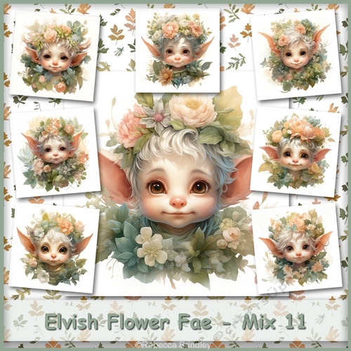 Elvish Flower Fae - Mix 11