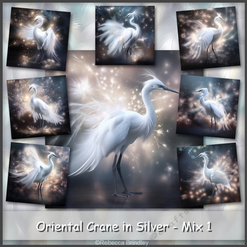 Oriental Crane in Silver - Mix 1